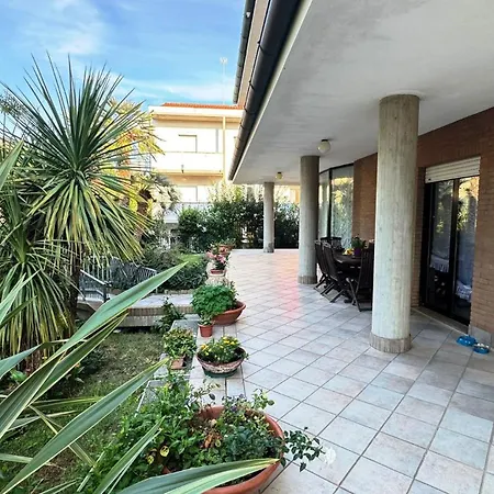 Salseadine - Senigallia *